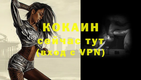 стафф Вяземский