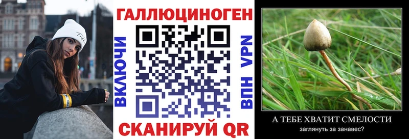 Псилоцибиновые грибы MAGIC MUSHROOMS  Купить закладки  Пучеж 