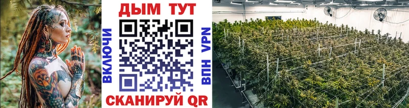 МАРИХУАНА планчик  Купить где  Пучеж 